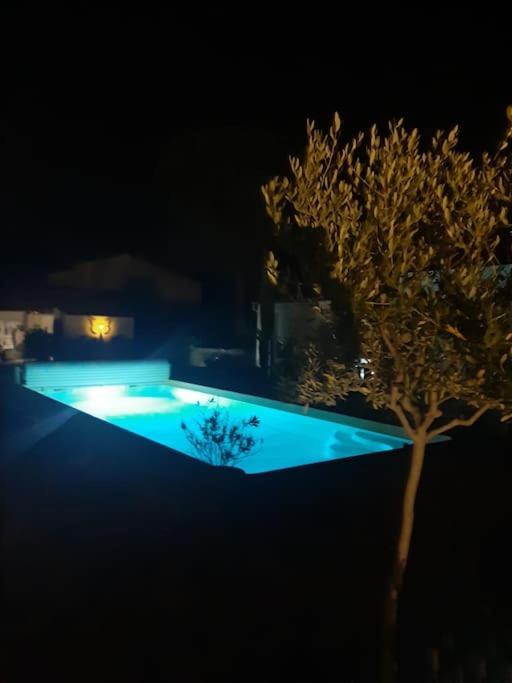Joli Studio Au Coeur De La Provence Verte Saint-Maximin Eksteriør billede